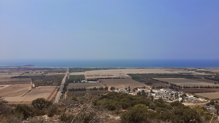 חוף הכרמל